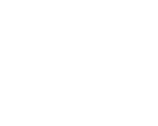 FLSmidth